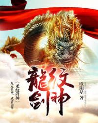 龙纹剑和无极棍使用技巧